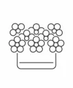Box of flowers